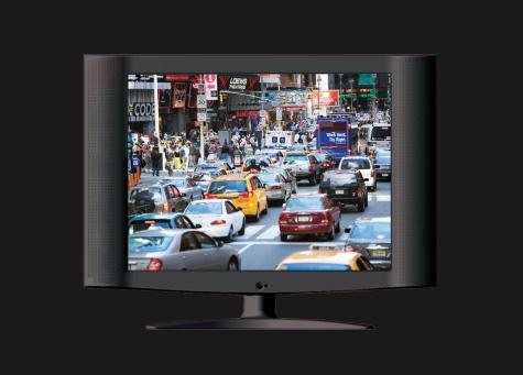 20" Free Standing Monitor 