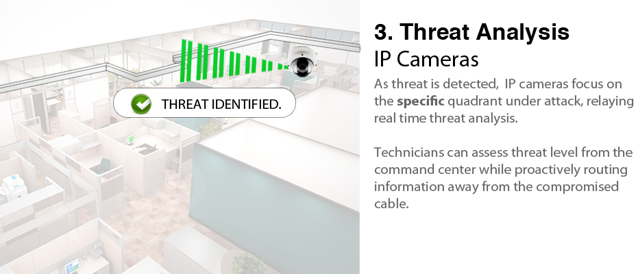 megadome threatdetection