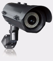 Color Overview LPR Camera