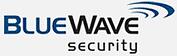 BlueWave Security Solutions