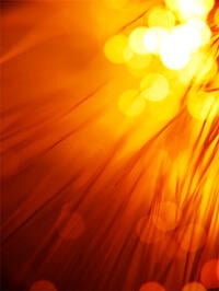 shutterstock_4531723-2