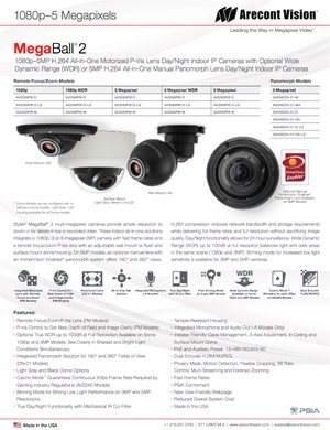 Arecont_Visions_Flexible_MegaBall_2_Camera_2