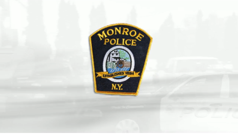 monroe police arecont vision