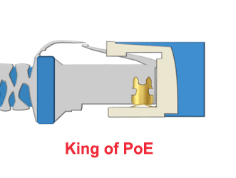 KingofPoE-animated-whitebackground.gif