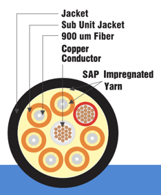 Screen Shot 2020-08-03 at 11.11.43 AM