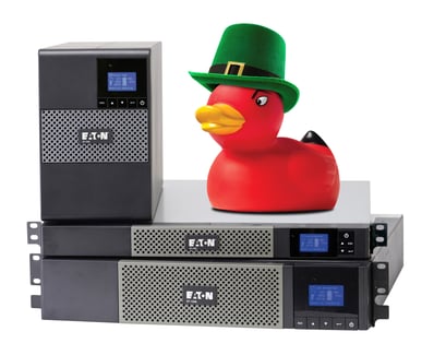 St Pattys day 5P family wDuck